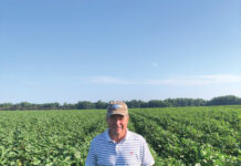 A Tale Of Two Seasons